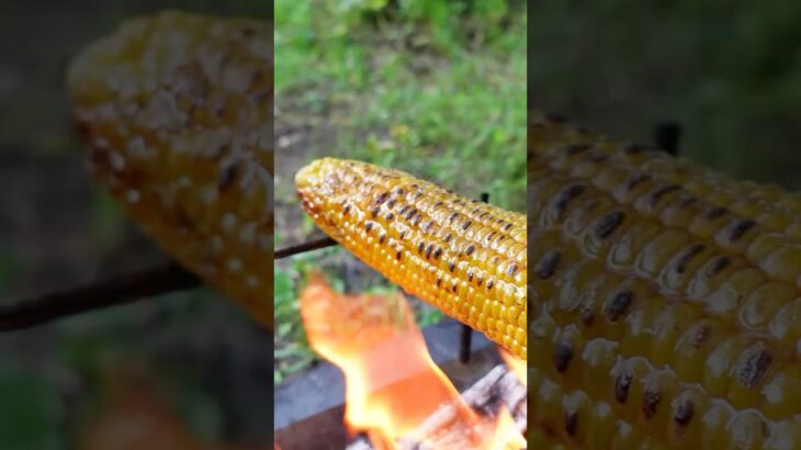 焚き火に放り込むだけ！とうもろこし丸焼きキャンプ飯🌽🔥　 #キャンプ #shorts