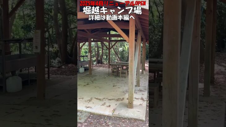 【堀越キャンプ場】#堀越キャンプ場#shorts