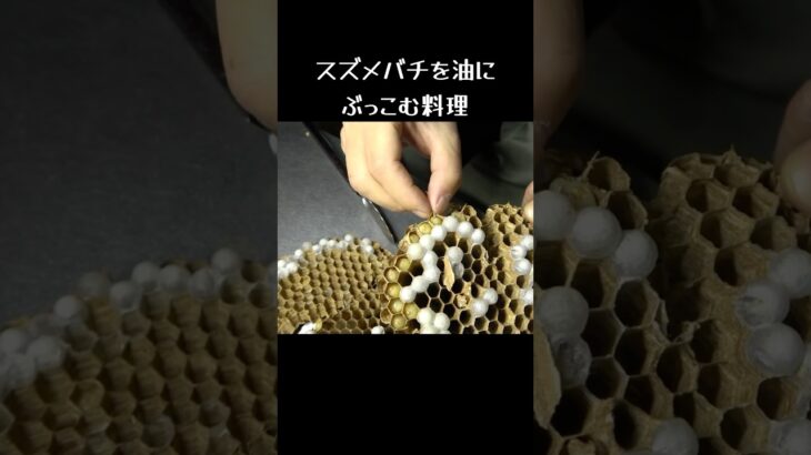 スズメバチを油にぶっこむ料理。 #アウトドア #料理　#キャンプ