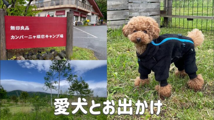 【犬旅】愛犬と一緒に初めての車中泊キャンプ／無印良品キャンプ場
