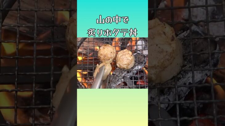 山の中、焚火で炙りホタテ丼！#キャンプ #料理