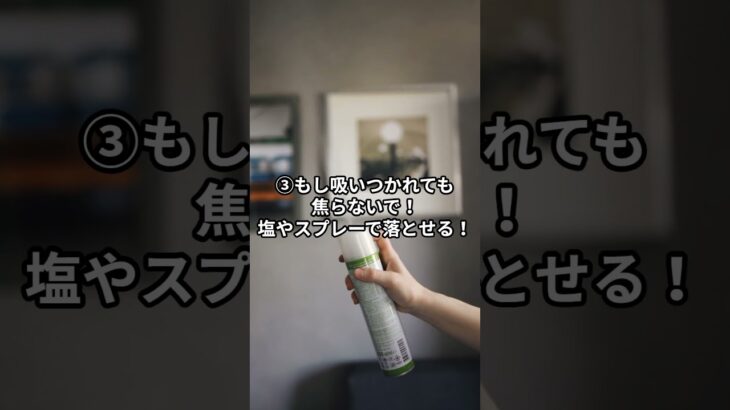 ヤマビル対策、知らないとヤバい… #アウトドアライフ #アウトドア #クリーンキャンプ