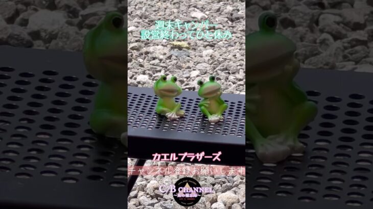 【旅の備忘録】キャンプ初心者設営後のひと休み#キャンプ