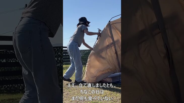 熊本でわんことキャンプ△#キャンプ　#ソロキャン　#ソロキャンプ #わんことキャンプ #キャンプ初心者