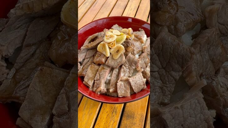 ステーキ丼！#飯テロ #料理 #キャンプ #キャンプ飯 #グルメ #ステーキ