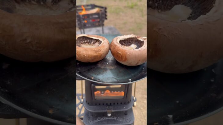 キャンプ料理家のキャンプ飯🏕️ #キャンプ #アウトドアグルメ #キャンプ男子 #アウトドア #アイロンストーブ #ジャンボマッシュルーム