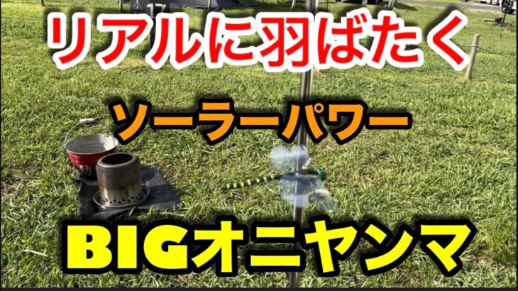 【キャンプ道具編】ソーラーパワーでリアルに羽ばたくBIGオニヤンマ