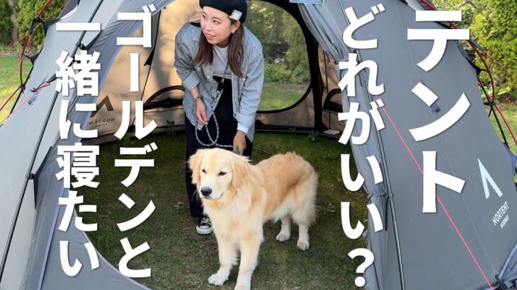 犬と泊まれるテント探し！ゴールデンレトリバーとキャンプ準備【初心者向け】/Camping with My Golden Retriever: Tent Hunt!