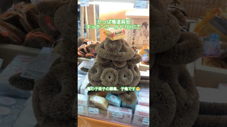 【キャンプギア探し】かっぱ橋道具街のキッチンワールドTDIにキャンプギア探し 亀の子束子の親亀子亀発見😁 #かっぱ橋道具街 #キャンプギア #アウトドア