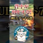 忘れた瞬間後悔ジワル！ キャンプ道具TOP7 #キャンプギア #おすすめ #保存