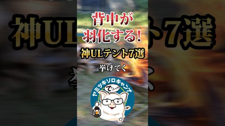 忘れた瞬間後悔ジワル！ キャンプ道具TOP7 #キャンプギア #おすすめ #保存