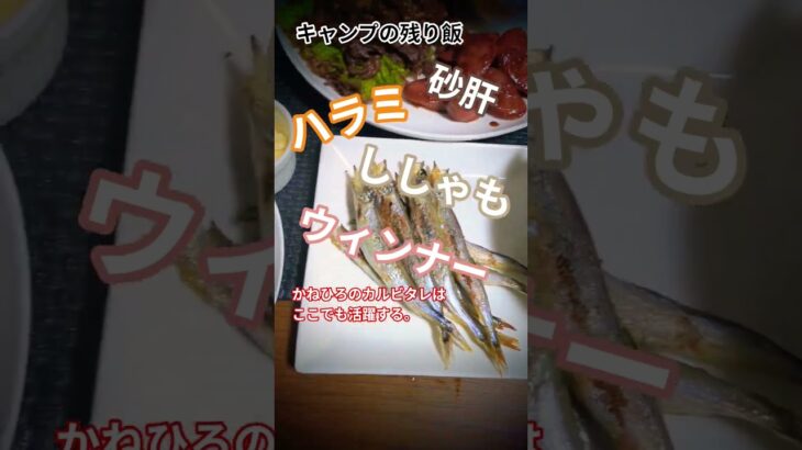 うちのごはん　キャンプの残り飯〘かねひろカルビタレ〙 #Vlog #shorts #料理 #キャンプ飯 #北海道ライブ配信