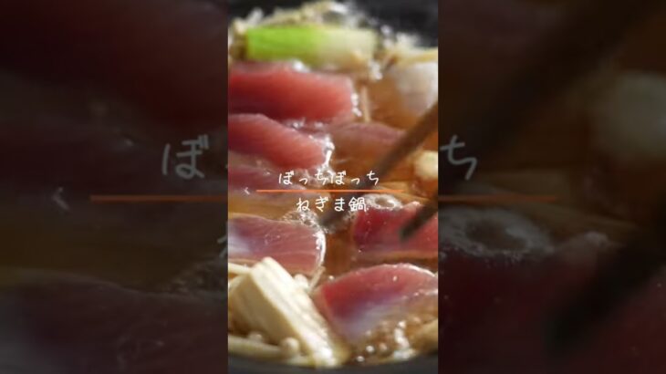 ねぎま鍋 #cooking #料理 #キャンプ飯 #今日の晩ごはん #やすまるだし #鍋