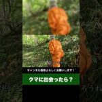 とりあえず逃げよう #short #トーク #camp #ラジオ #アウトドア #七輪 #料理 #田舎 #キャンプ飯 #キャンプ #bbq #長野県 #安曇野市