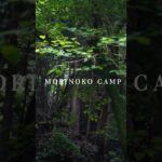 【ソロキャンプ】梅雨入り前の美しい森でソロキャンプ☕✨＃shorts #camp #キャンプ ＃ソロキャンプ #軍幕 ＃DDタープ ＃景色 #絶景キャンプ #camping #アウトドア