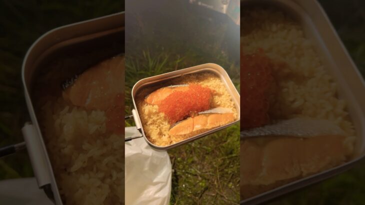 ケイジとキャンプ⑤ 鮭とイクラの親子釜飯 #キャンプ飯 #釜飯 #メスティン #メスティン飯 #メスティン料理