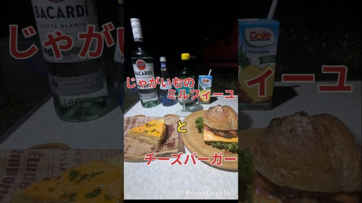 キャンプでこった料理をするといつの間にか…夜、になる動画