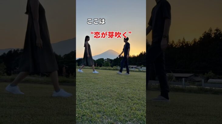キャンプで婚活を始めませんか？
