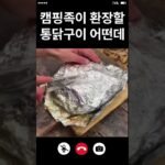 캠핑족들 환장할 통닭구이 보소🍗ㅣ キャンプで食べたい絶品チキン