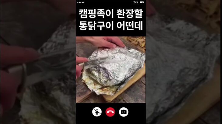 캠핑족들 환장할 통닭구이 보소🍗ㅣ キャンプで食べたい絶品チキン