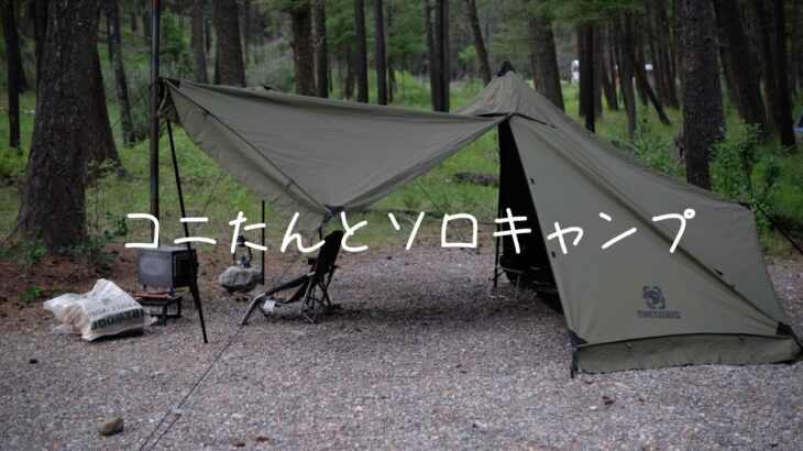 【カナダソロキャンプ】ワンティグリスコニファーと薪ストーブでソロキャンプ