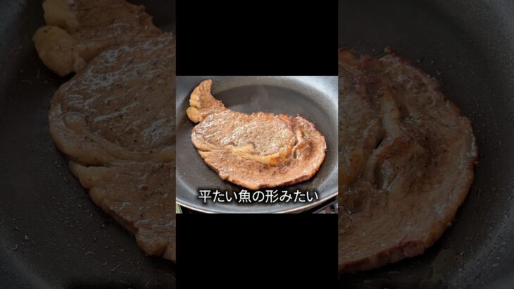 平たいけどぎゅーーーーーッ！#料理 #キャンプ飯 #キャンプ #北海道 #アウトドア #チャンネル登録お願いします #夏 #ゆうキャンかさログ #肉 #焼肉 #ステーキ #youtubeshorts