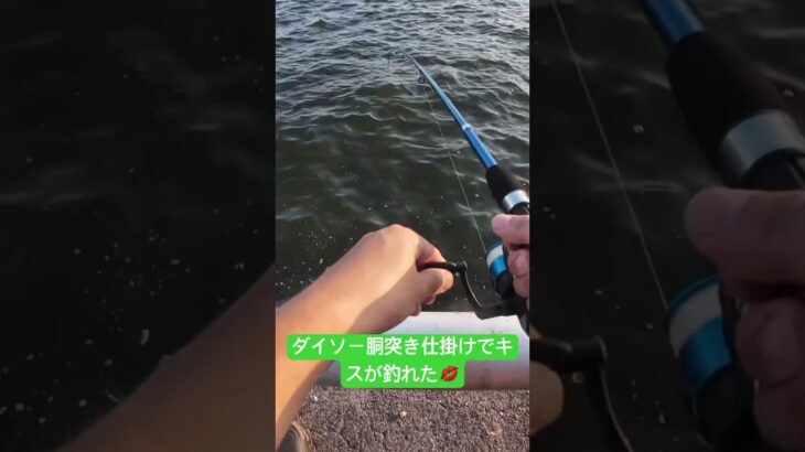 【ダイソーの釣り道具だけで】釣り初心者ジムニー乗りが1000円の釣り竿と胴突き仕掛けで堤防釣りに挑戦！！【魚は釣れるのか？】　@yokoicamp