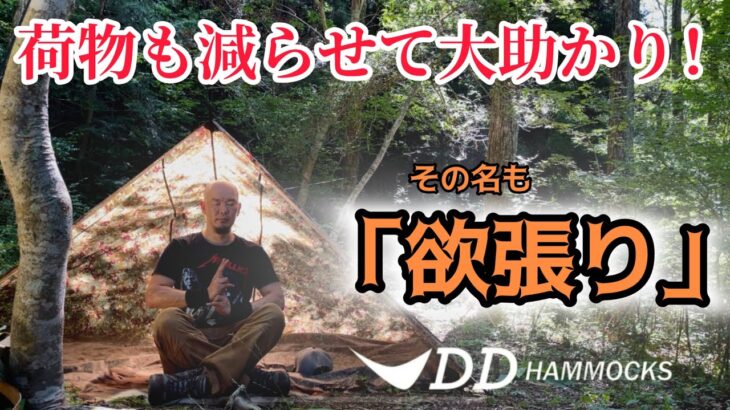 【DDタープ設営】魅せます！ソロキャンプ初心者でも5分でできるイケまくってる張り方。