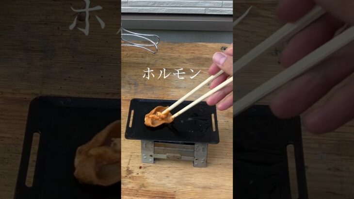 ホルモン焼く！#アルコールストーブ #alcoholstove #キャンプストーブ #ミニストーブ #自作ストーブ #ソロキャンプ #キャンプギア #キャンプ道具 #アウトドア #ハンドメイド