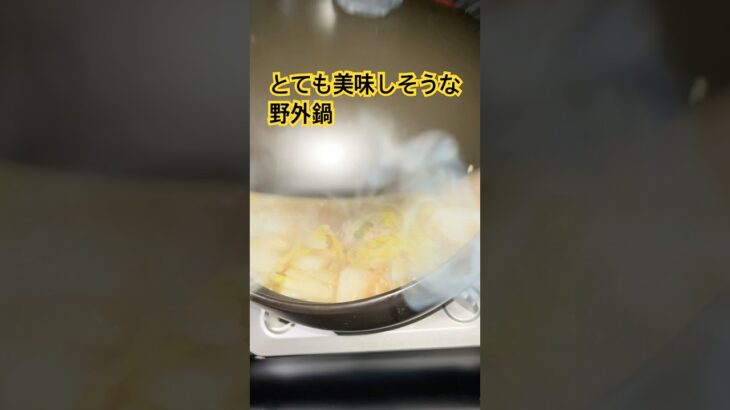 うますぎる野外鍋やっぱ至高#鍋料理 #キャンプ #ご飯 #asmr