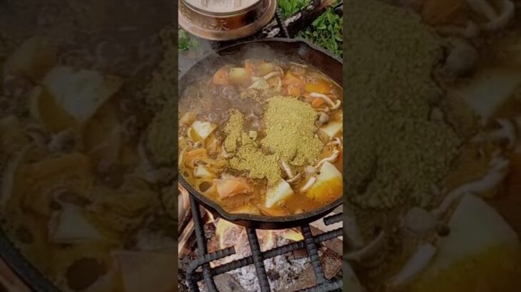 焚き火とスキレット…これが本気のソロキャンプカレー🔥🍛#ソロキャンプ #焚き火 #スキレット料理 #キャンプカレー #キャンプ飯#キャンプ好きと繋がりたい #curry #カレー#shots