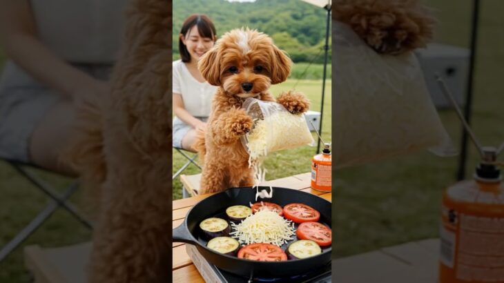 キャンプ場でナス料理に挑戦ダン！🐶 #おうち犬ダンの生存日誌 #マルプー #わんこ #犬 #癒し動画 #marupu #maltipoo #dog #ai #ai生成動画