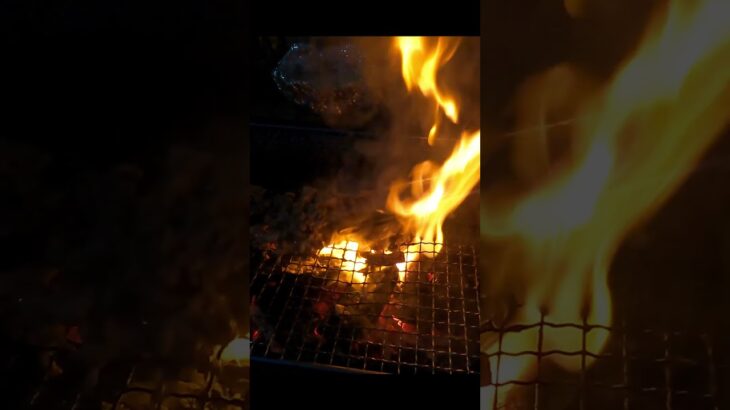 【キャンプ飯】炎の料理！豚の炭火焼！【飯テロ】【キャンプ】#shorts #料理 #バーベキュー