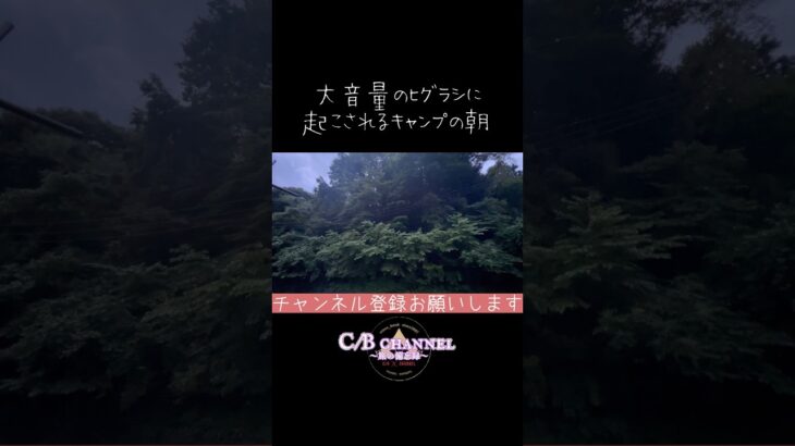ヒグラシに起こされるキャンプの朝