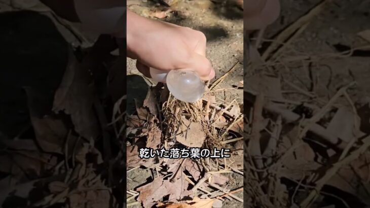 キャンプ場で話題の火起こし秘密アイテム