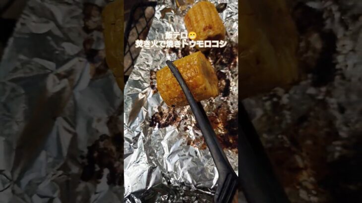 【飯テロ】焚き火で焼きトウモロコシ😄 #飯テロ #キャンプ飯 #焚き火料理 #アウトドアクッキング #焚き火 #アウトドア #キャンプ