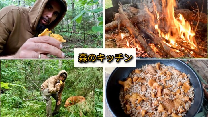 森のキッチン：きのこを採ってすぐ調理｜野外料理とキャンプ飯