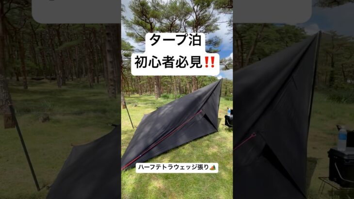 タープ泊初心者必見‼️布1枚キャンパーのキャンプ事情を教えちゃいます🤣今回はハーフテトラウェッジ張り✨✨✨