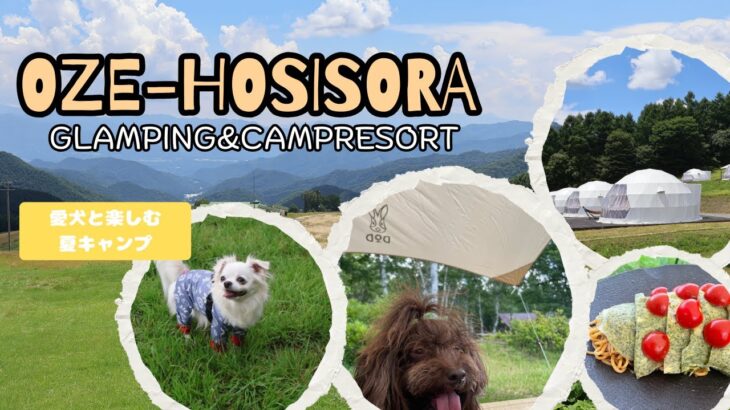 【標高1500ｍ】犬とキャンプ　OZE-HOSHIZORA  RESORT
