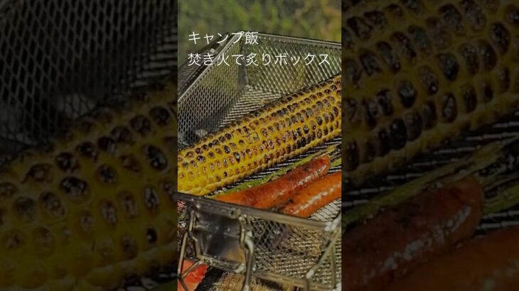 DCM人気のキャンプギアを使って焚き火料理🪵 #キャンプ飯 #ソロキャンプ女子 #炙りボックス