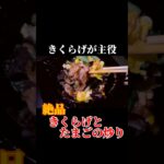 静かな外時間。きくらげ卵炒めをキャンプ飯で【Day95】#キャンプ飯#アウトドア料理#外ごはん#ソロキャンプ気分#中華料理#簡単レシピ#焚き火#100正#100日後に正月を迎える僕たち#Shorts