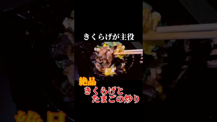 静かな外時間。きくらげ卵炒めをキャンプ飯で【Day95】#キャンプ飯#アウトドア料理#外ごはん#ソロキャンプ気分#中華料理#簡単レシピ#焚き火#100正#100日後に正月を迎える僕たち#Shorts