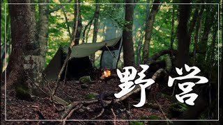 【野営】晩夏の森でソロキャンプ　US PAPTENT
