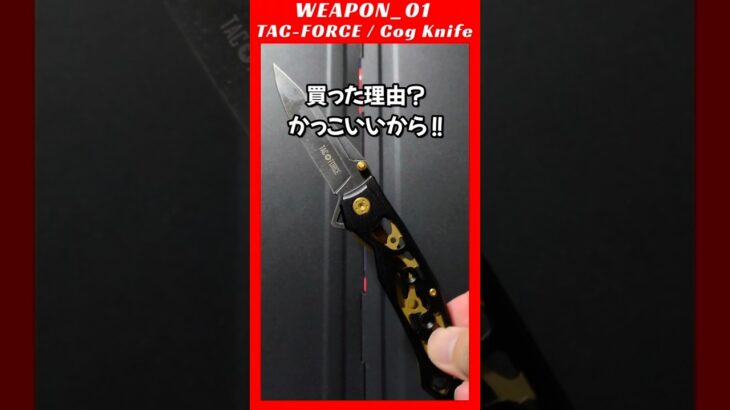 【 キャンプギア紹介 /  WEAPON_01 】/ TAC-FORCE / Cog Knife（コグナイフ）