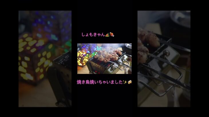 しょもきゃん🏕焼き鳥焼いちゃいました。キャンプごっこ🏠⛺️✨​#キャンプ #キャンプギア #キャンプ道具 #アウトドア #マイクラ #camp ＃しょもきゃん #キャンプ飯 #bbq