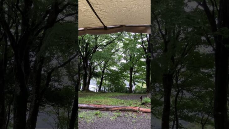 【至福の時間】雨音に癒される雨キャン #キャンプ女子 #アウトドア #キャンプ #camping
