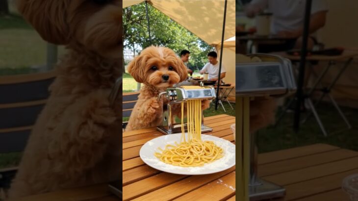 キャンプ場でパスタ料理に挑戦ダン！🐶 #おうち犬ダンの生存日誌 #マルプー #わんこ #犬 #癒し動画 #marupu #maltipoo #dog #ai #ai生成動画