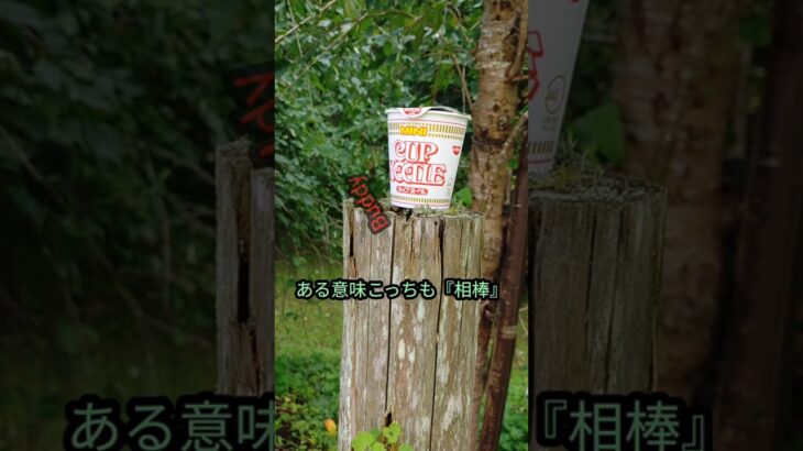 【trangia】My Campaign Buddy  #トランギアケトル 　#キャンプ道具 　#shorts