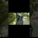 キャンプ初心者は絶対に知らないキャンプでつらいことワースト１