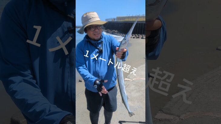 釣りキャンプ行ったらとんでもないの釣れたから食うぜ #キャンプ ＃料理